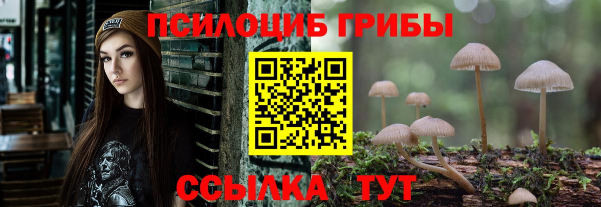 Псилоцибиновые грибы мицелий  Вход с VPN  Лениногорск 