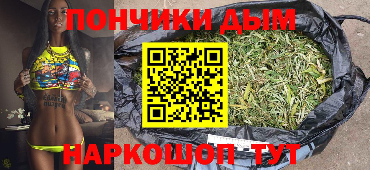 Канабис семена Лениногорск